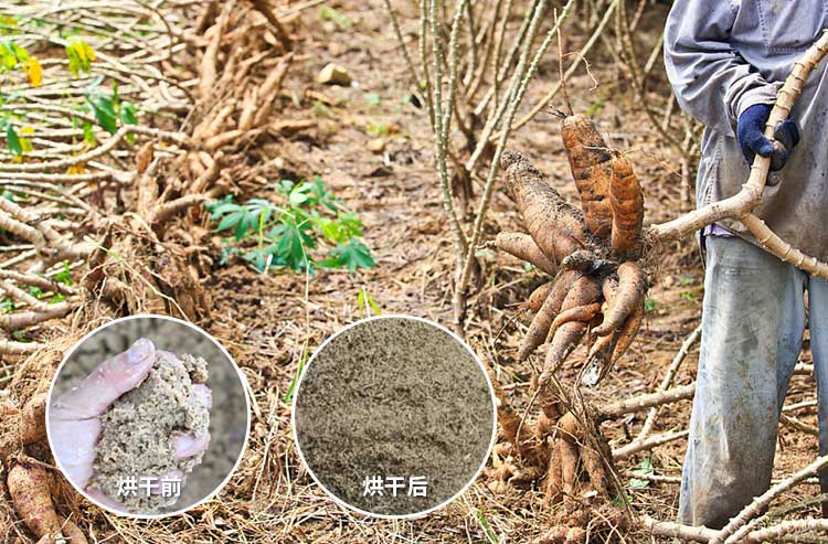 紅薯渣烘干機烘干一噸紅薯渣的價(jià)格是多少